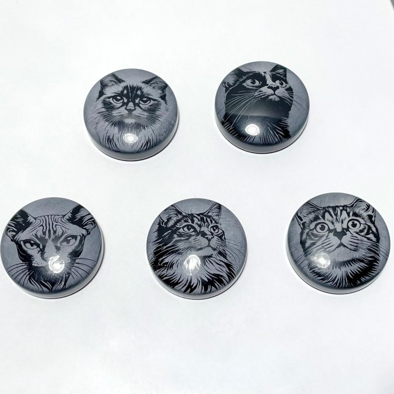 Black Obsidian Engraved Cat Round Slices DIY Accessories Wholesale