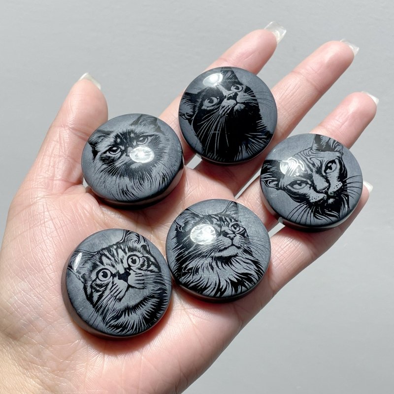 Black Obsidian Engraved Cat Round Slices DIY Accessories Wholesale