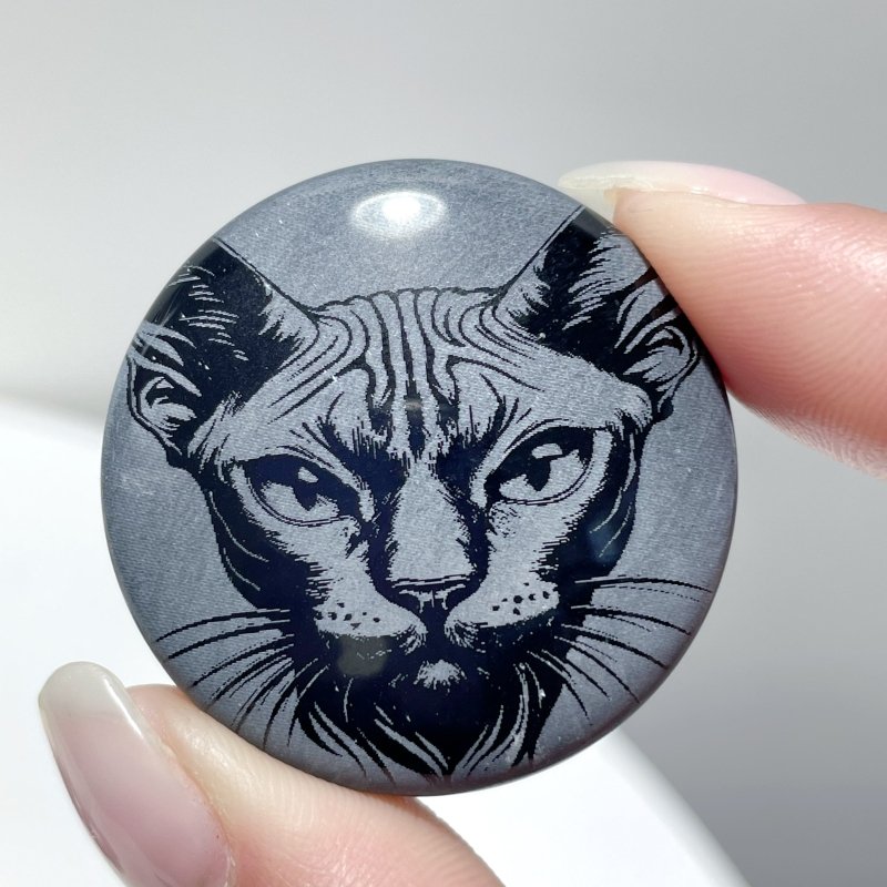 Black Obsidian Engraved Cat Round Slices DIY Accessories Wholesale