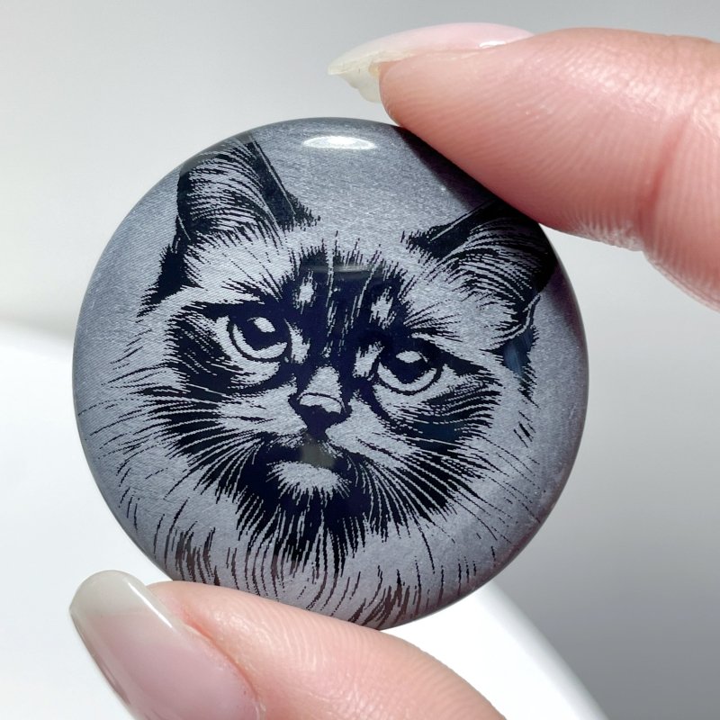 Black Obsidian Engraved Cat Round Slices DIY Accessories Wholesale