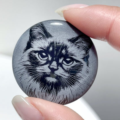 Black Obsidian Engraved Cat Round Slices DIY Accessories Wholesale